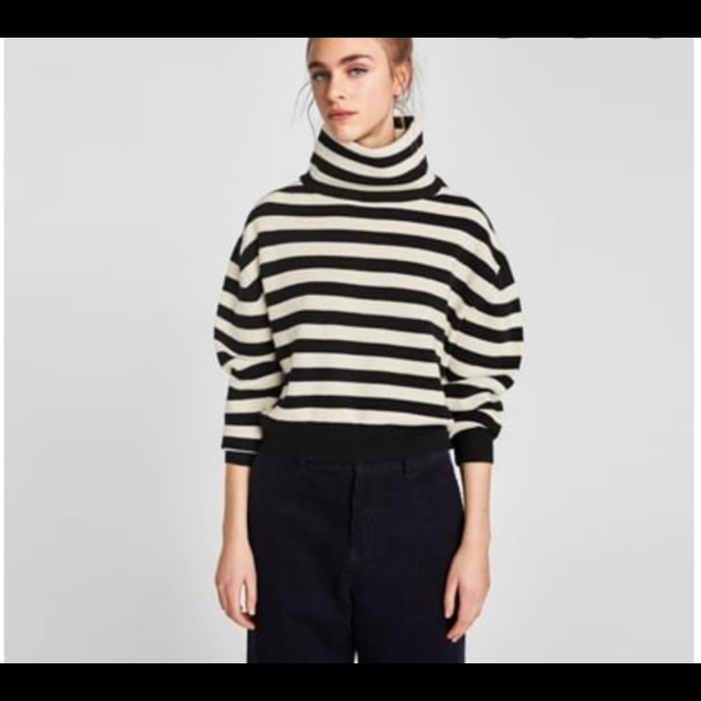ZARA knits / striped turtleneck